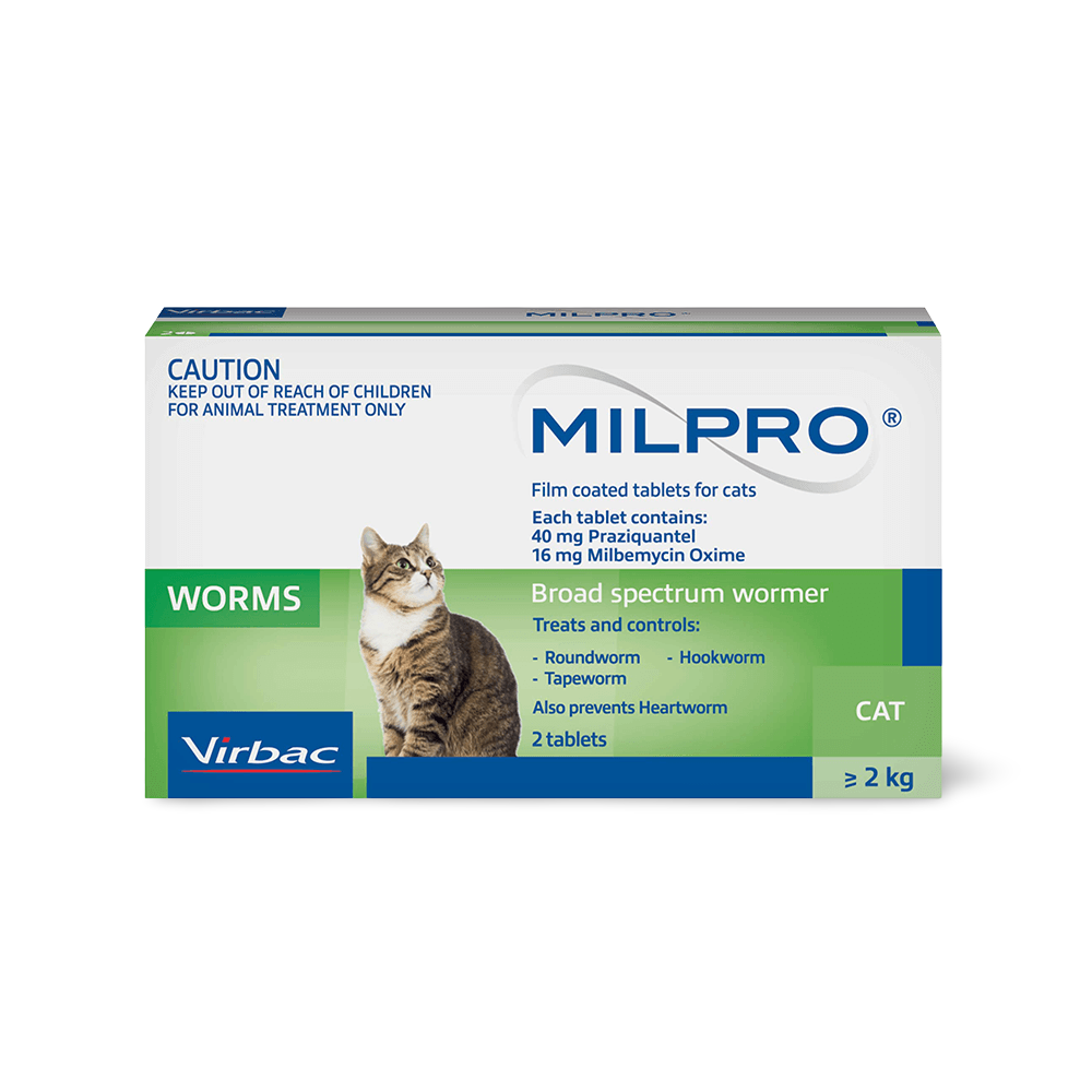 Broad Spectrum Allwormer Tablets For Cats