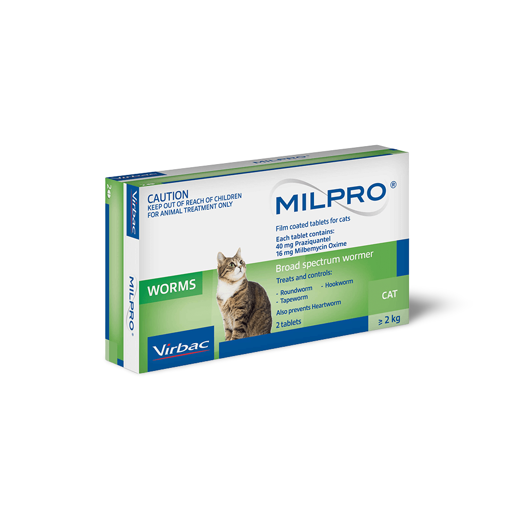 Broad Spectrum Allwormer Tablets For Cats