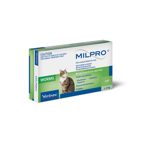 Broad Spectrum Allwormer Tablets For Cats