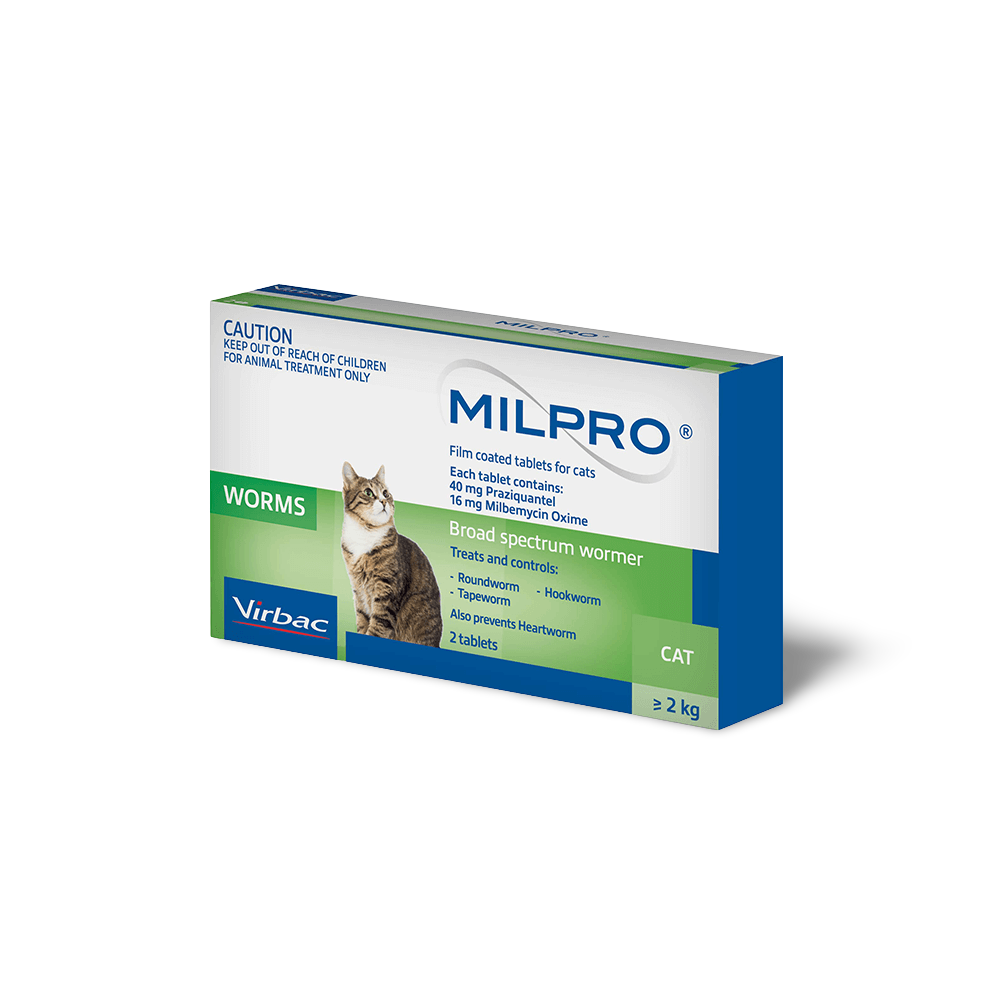 Broad Spectrum Allwormer Tablets For Cats