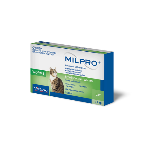Broad Spectrum Allwormer Tablets For Cats