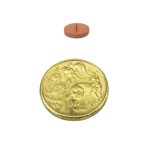 Broad Spectrum Allwormer Tablets For Cats
