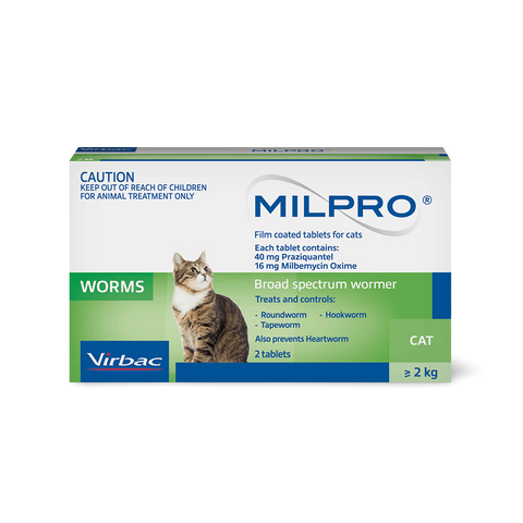Broad Spectrum Allwormer Tablets For Cats