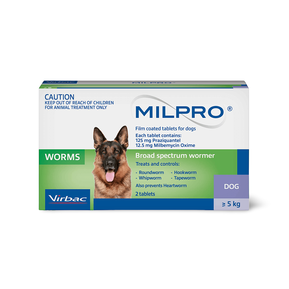 Broad Spectrum Allwormer Tablet For Dogs