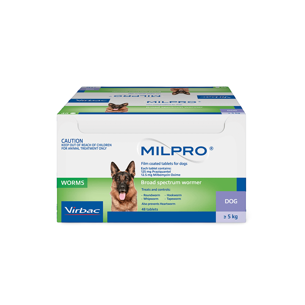Broad Spectrum Allwormer Tablet For Dogs