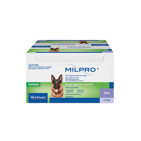 Broad Spectrum Allwormer Tablet For Dogs