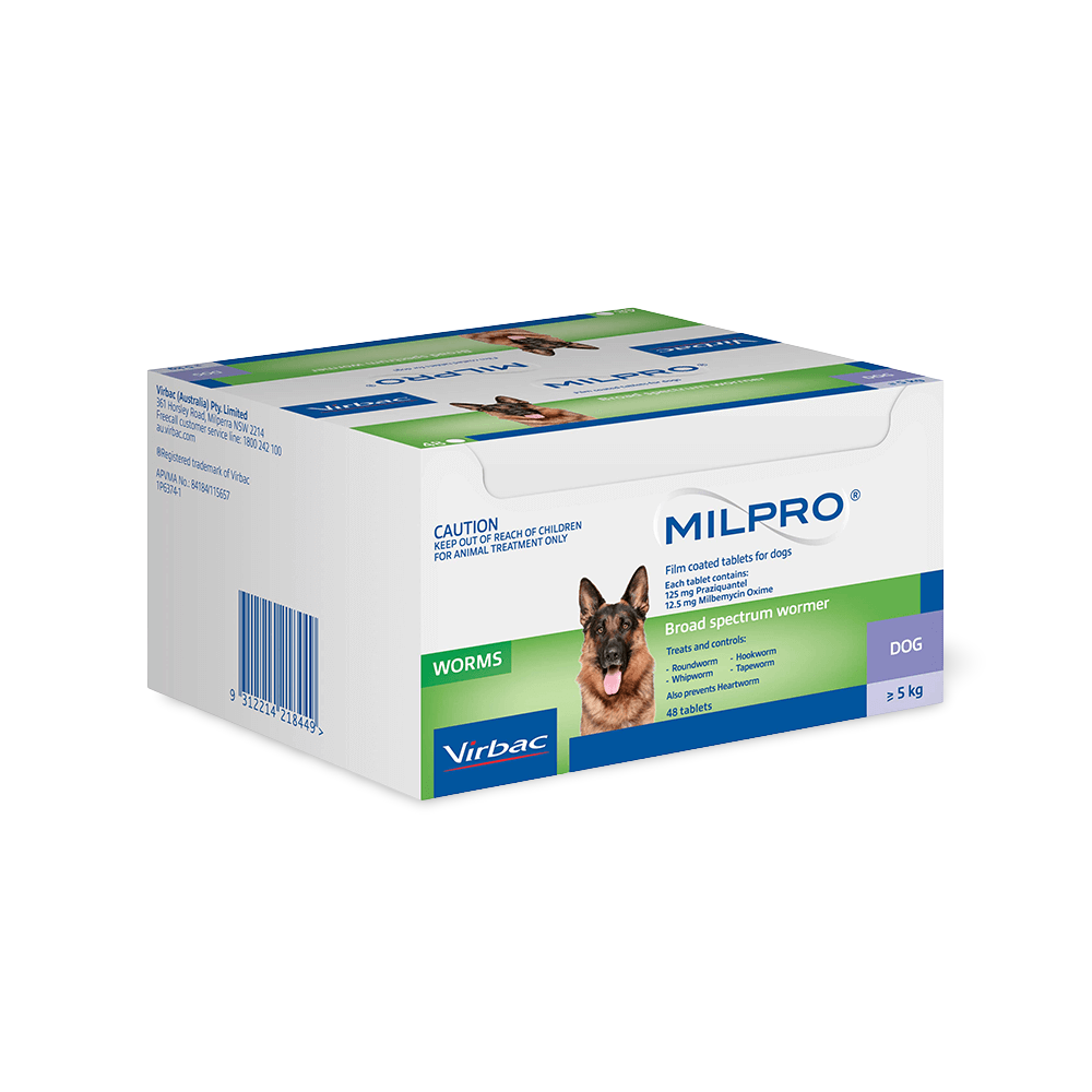 Broad Spectrum Allwormer Tablet For Dogs