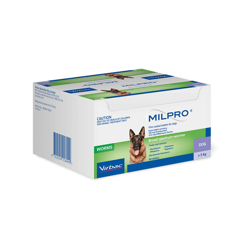 Broad Spectrum Allwormer Tablet For Dogs