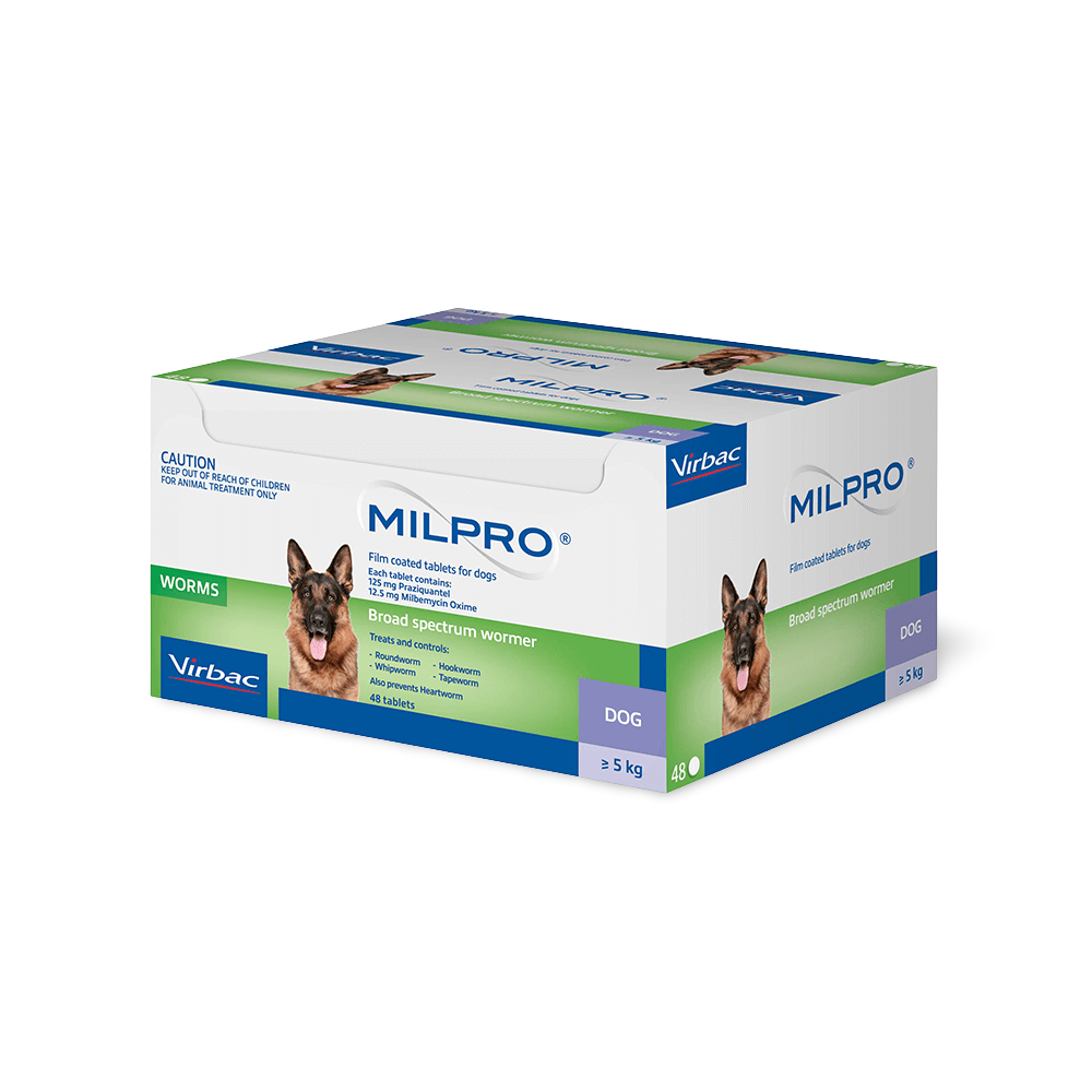 Broad Spectrum Allwormer Tablet For Dogs
