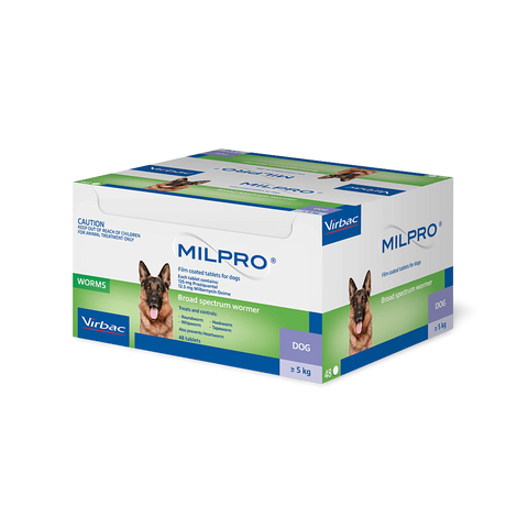 Broad Spectrum Allwormer Tablet For Dogs
