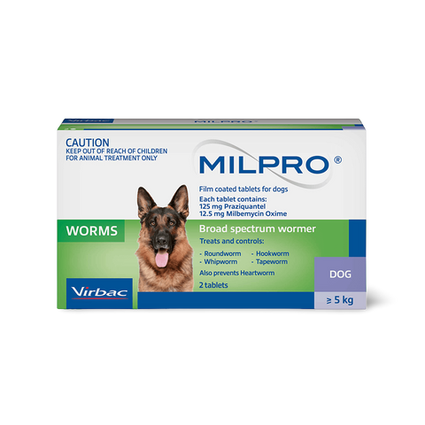 Broad Spectrum Allwormer Tablet For Dogs