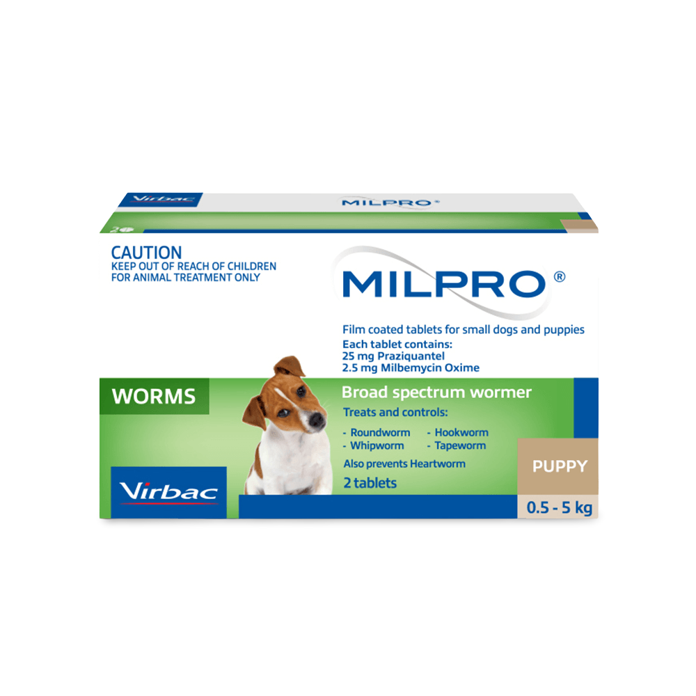Worm Tablets For Small Dogs & Puppies