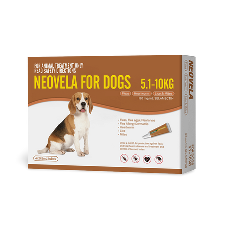 Flea And Worming For Medium Dogs