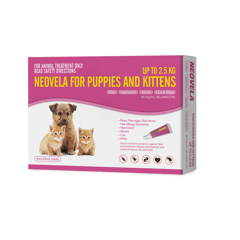 Flea And Worming For Puppies And Kittens