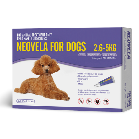 Flea And Worming For Small Dogs