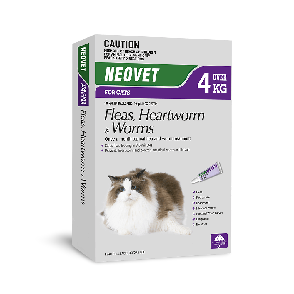 Flea And Worming For Cats