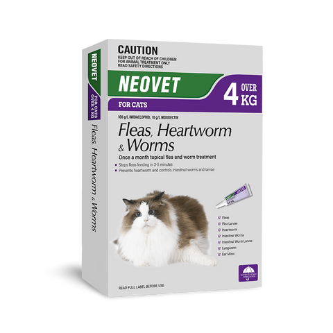 Flea And Worming For Cats