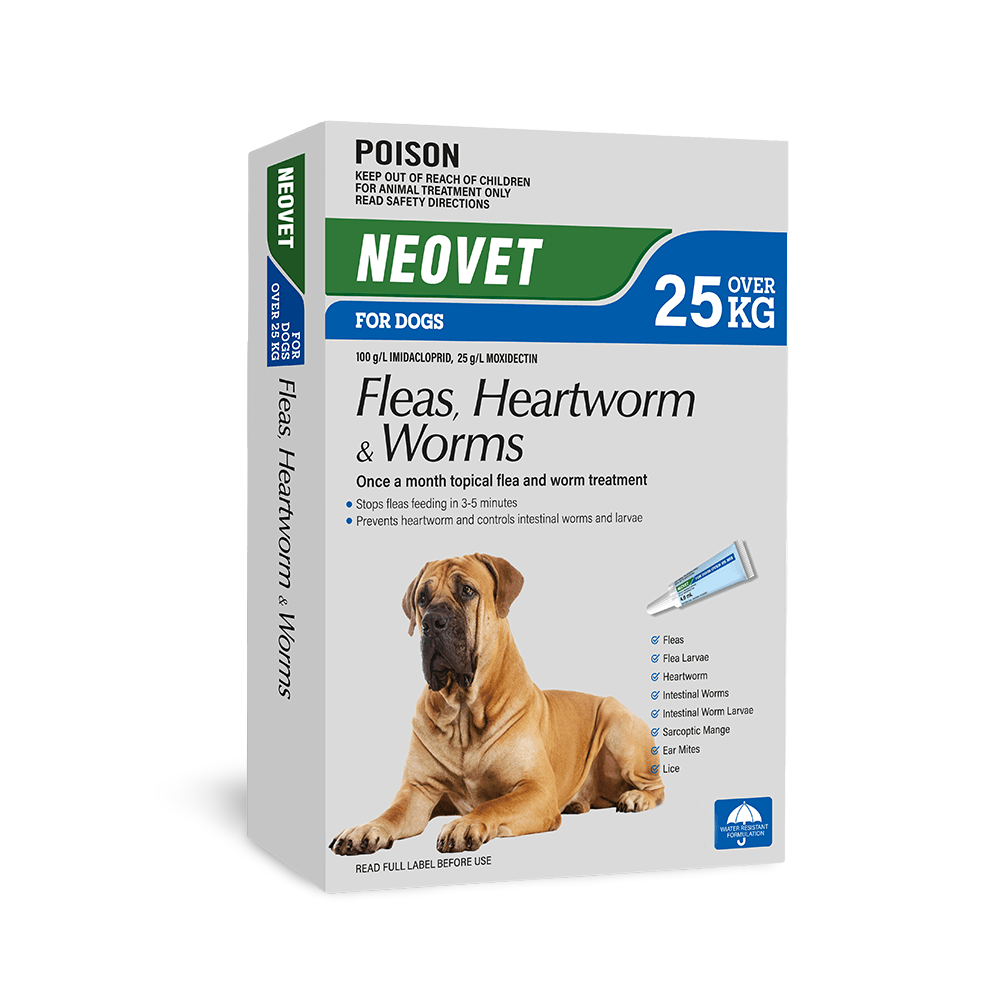Flea And Worming For Extra Large Dogs
