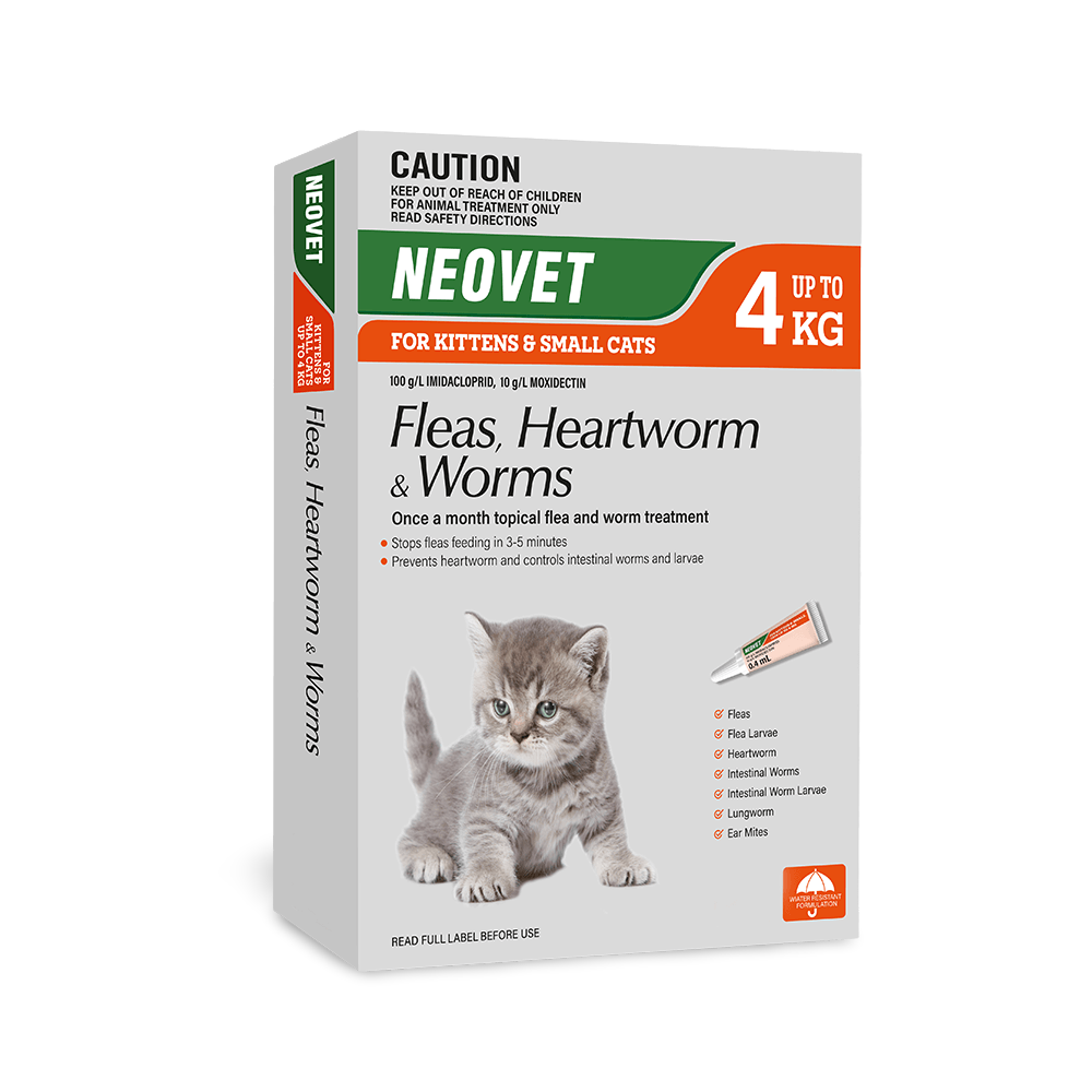 Flea And Worming For Kittens And Small Cats