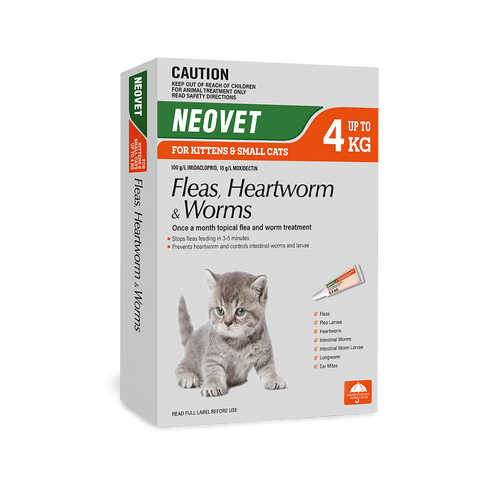 Flea And Worming For Kittens And Small Cats