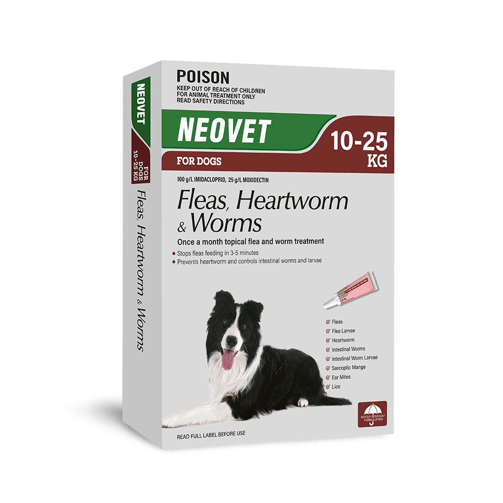 Flea And Worming For Large Dogs