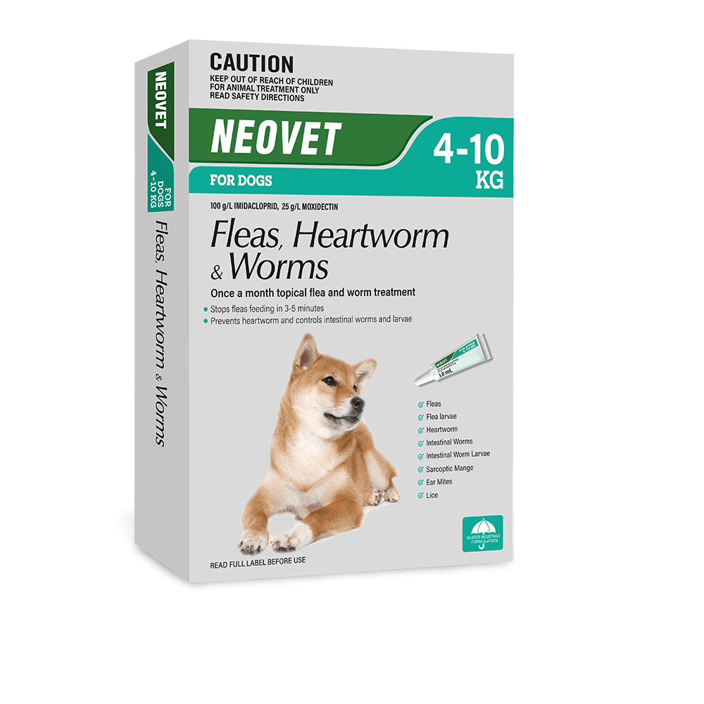Flea & Worm Spot-On For Medium Dogs