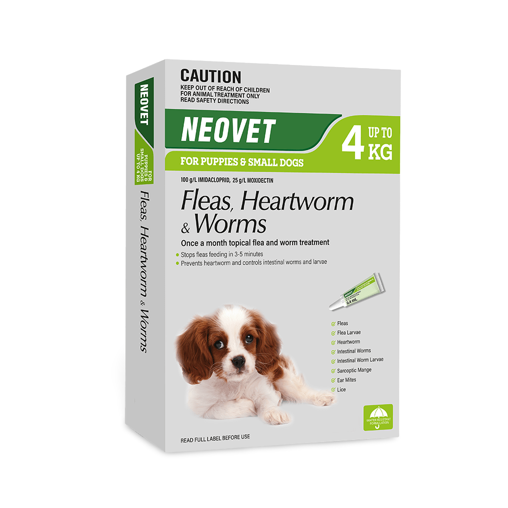 Flea & Worm Spot-On For Puppies & Small Dogs