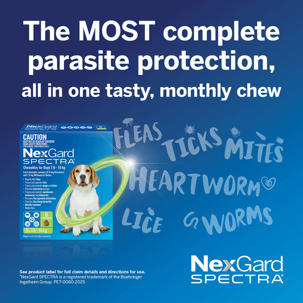 Chews for Medium Dogs 7.6-15kg