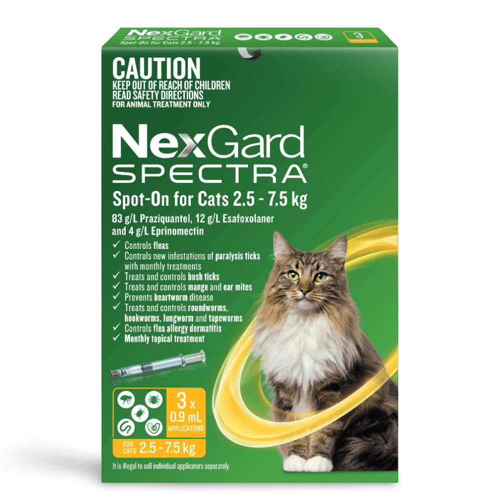Spot On For Large Cats Yellow