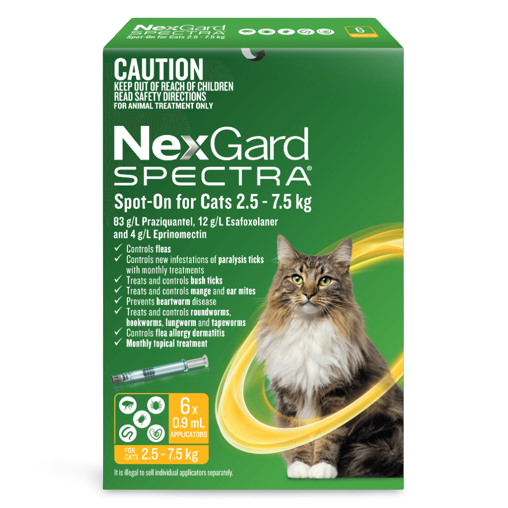 Spot On For Large Cats Yellow