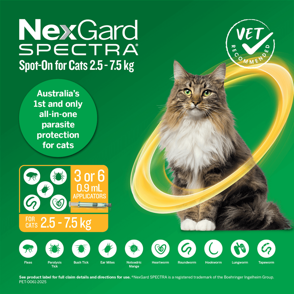 Spot On For Large Cats Yellow
