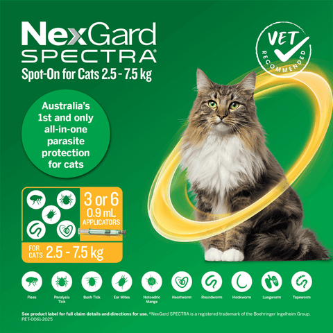 Spot On For Large Cats Yellow