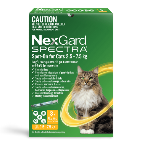 Spot On For Large Cats Yellow