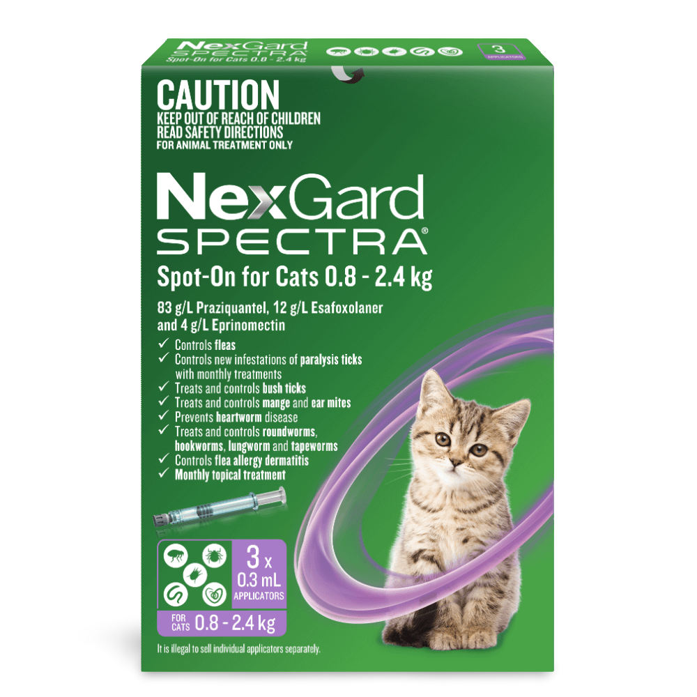 Spot On For Small Cats And Kittens Purple