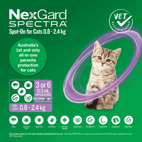 Spot On For Small Cats And Kittens Purple