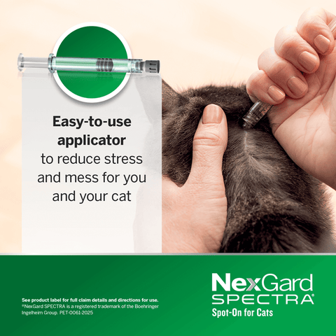 Spot On For Small Cats And Kittens Purple