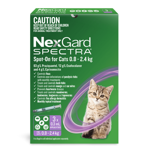 Spot On For Small Cats And Kittens Purple