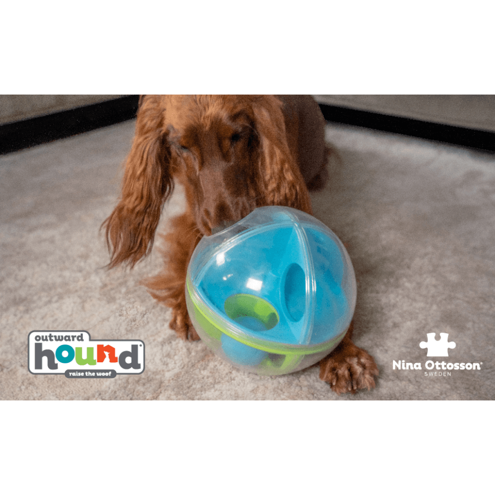 A Maze Ball Interactive Puzzle Dog Toy