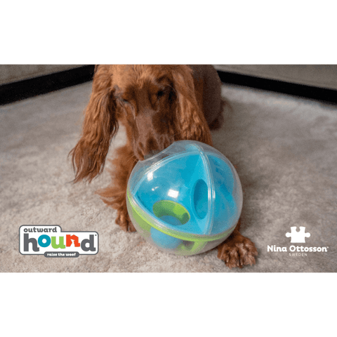 A Maze Ball Interactive Puzzle Dog Toy