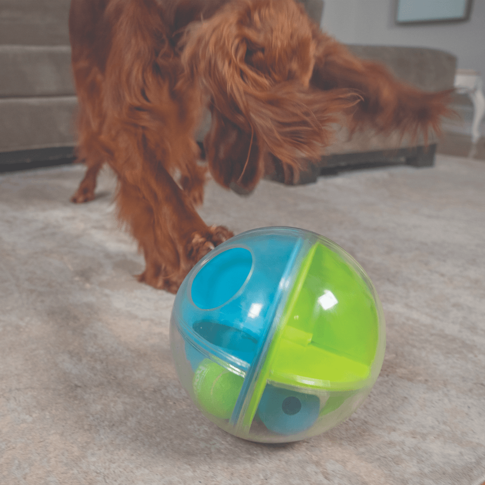 A Maze Ball Interactive Puzzle Dog Toy