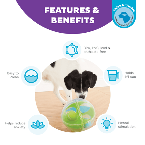 A Maze Ball Interactive Puzzle Dog Toy