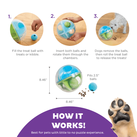 A Maze Ball Interactive Puzzle Dog Toy
