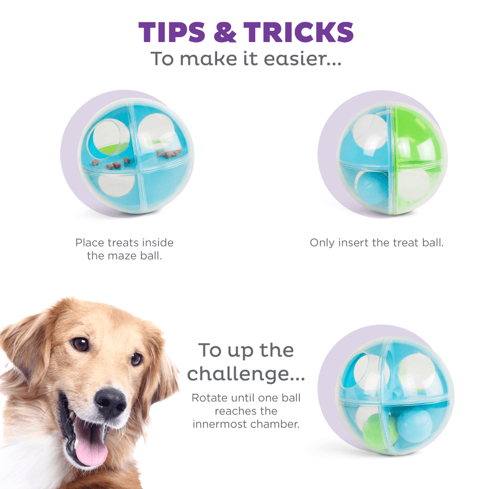 A Maze Ball Interactive Puzzle Dog Toy