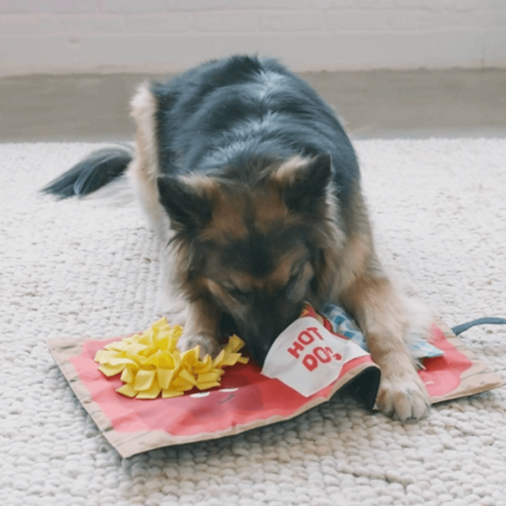 Activity Mat Fast Food Snuffle Mat Dog Toy