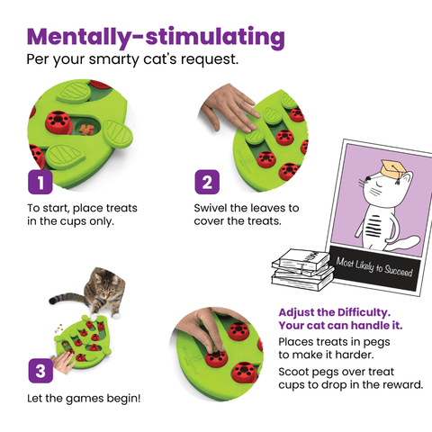 Cat Puzzle And Play Buggin Out