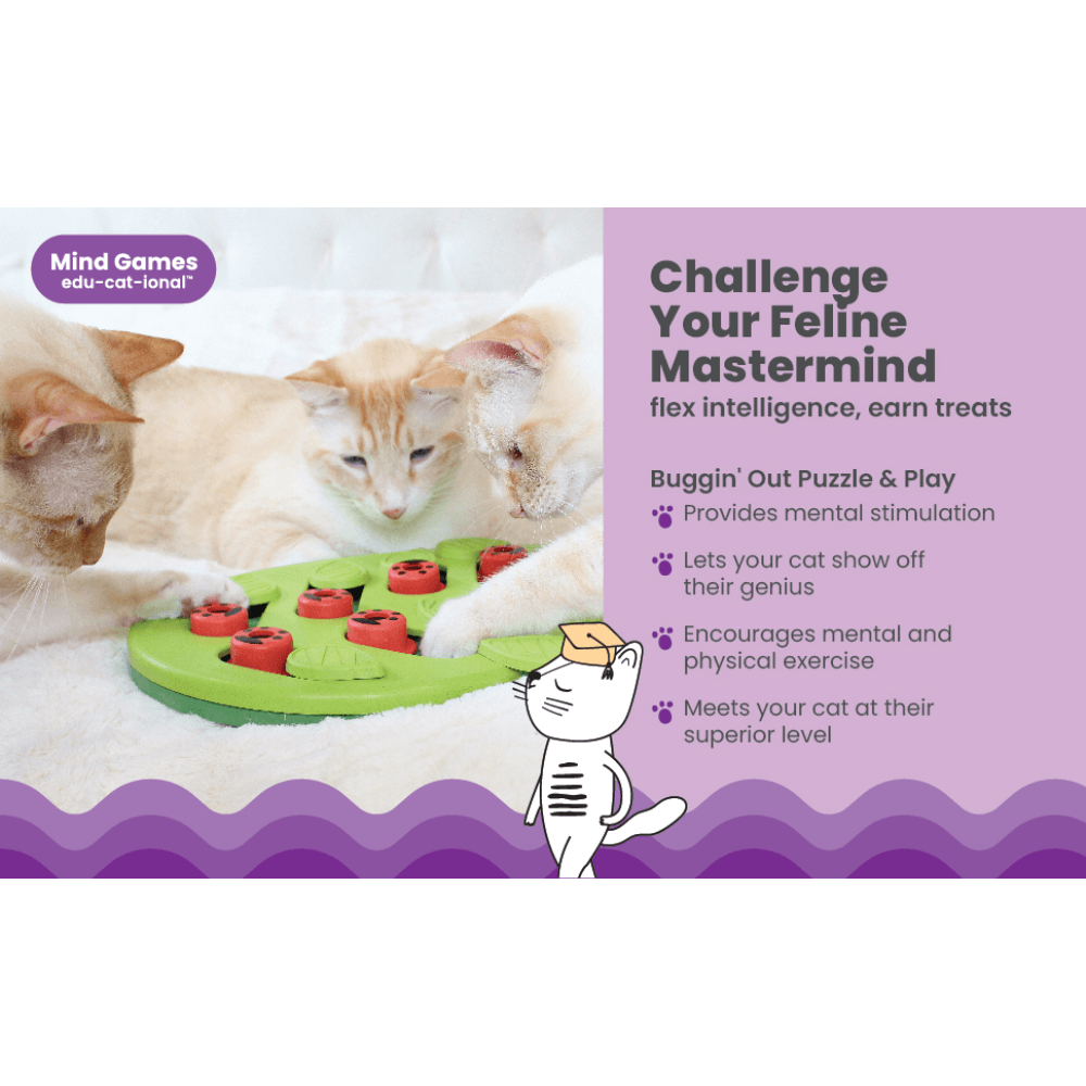 Cat Puzzle And Play Buggin Out