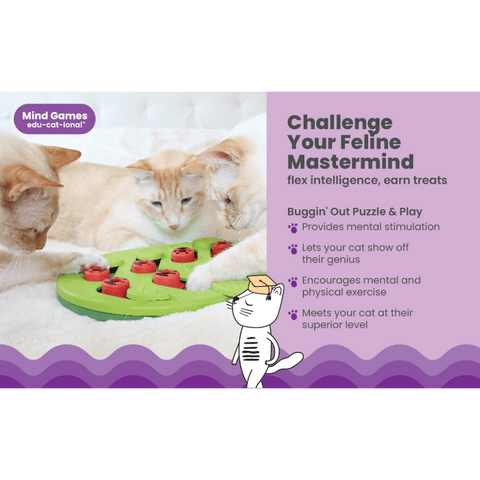 Cat Puzzle And Play Buggin Out