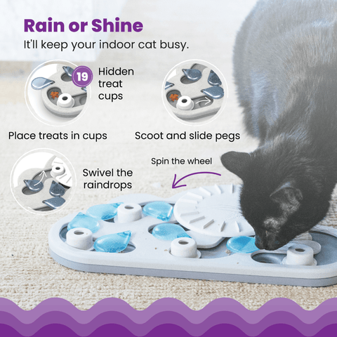 Cat Puzzle And Play Rainy Day