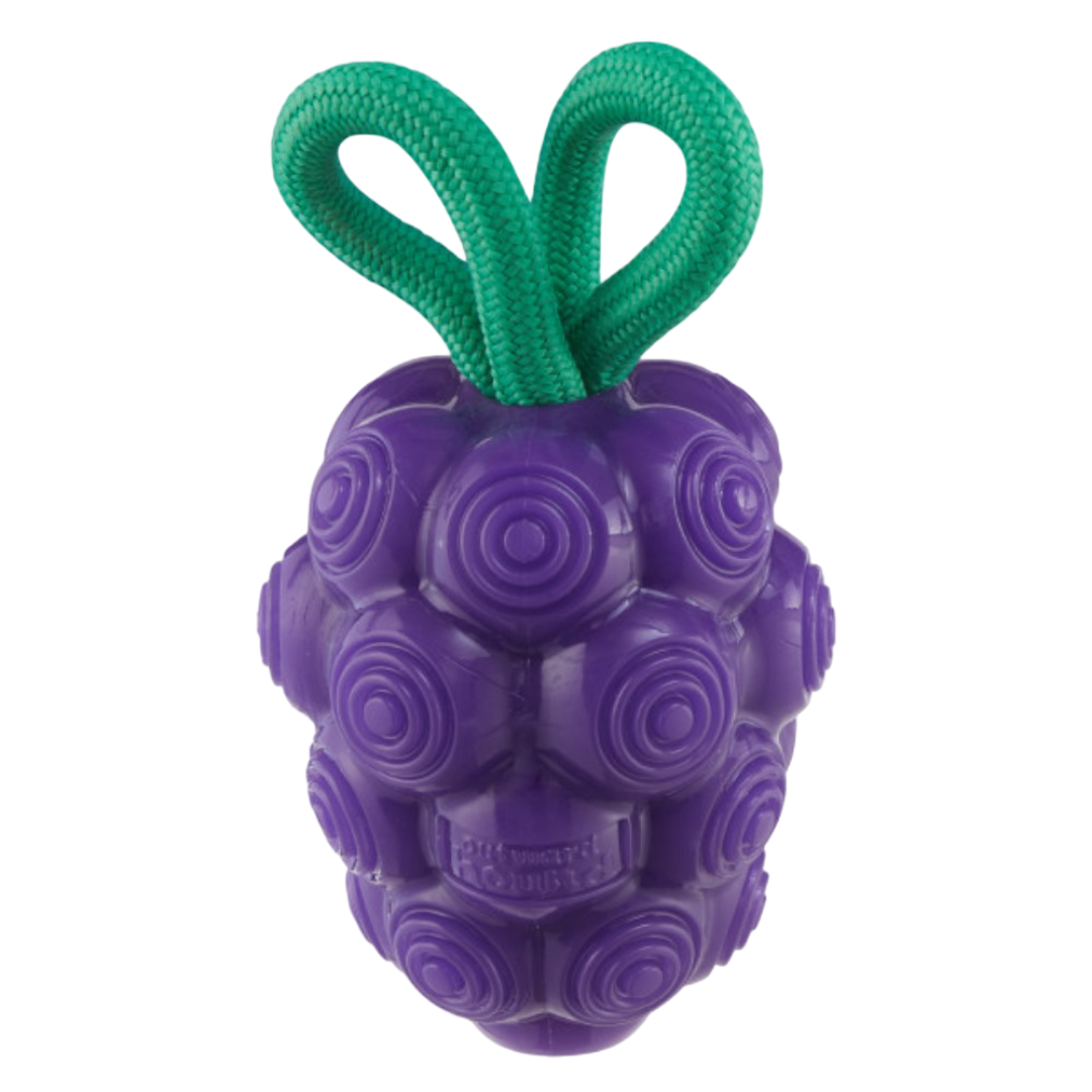 Nina Ottosson Dental Grapes Treat Dispensing Dog Chew Toys
