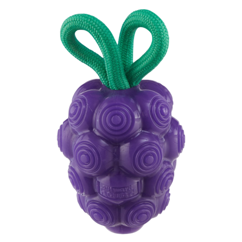 Nina Ottosson Dental Grapes Treat Dispensing Dog Chew Toys